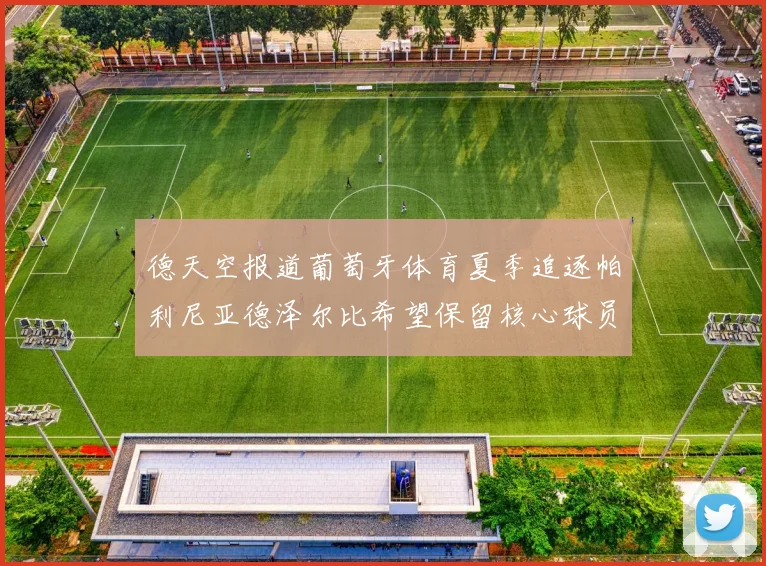 德天空报道葡萄牙体育夏季追逐帕利尼亚德泽尔比希望保留核心球员